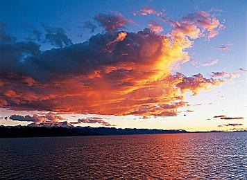 《明末：渊虚之羽》好评率上升至43%！Steam预估销量破200万